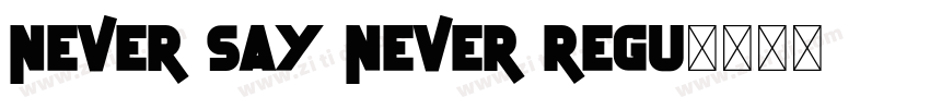 Never Say Never Regu字体转换